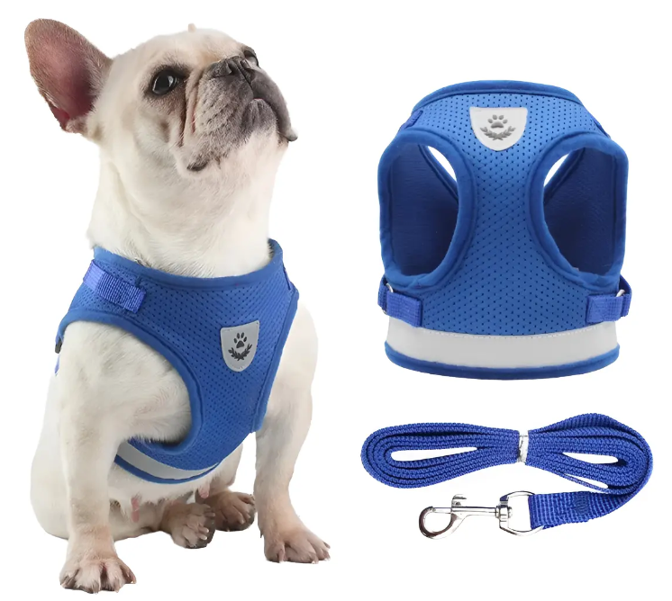 Correa De Pecho Mascotas Arnes