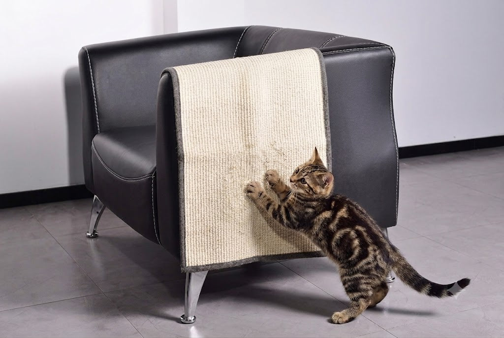 Forro Protector Rascador Para Gatos