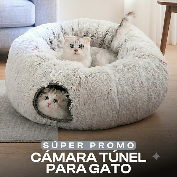 Cama Túnel Multifuncional para Gatos